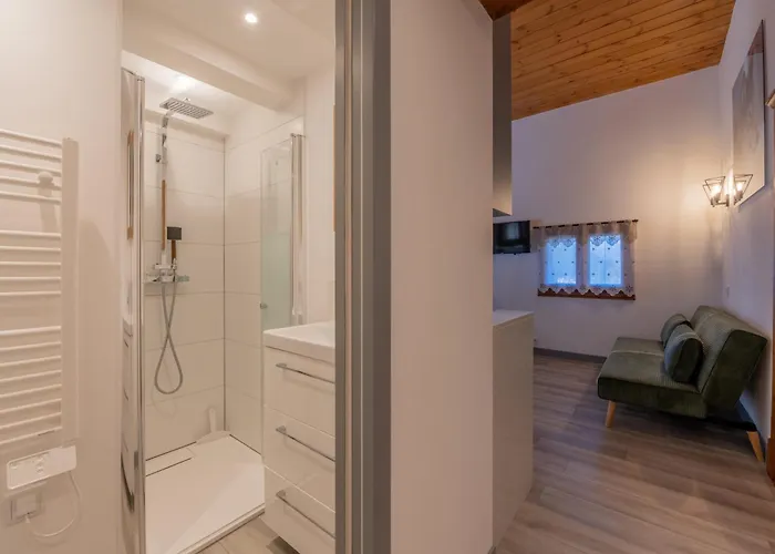 公寓 Le Cristal - Nant Blanc 15 - Happy *